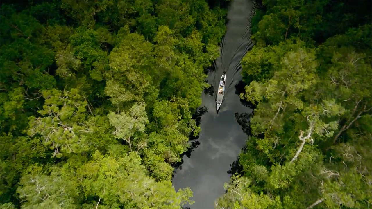 teaser image - STEM ON IMAX: Born to Be Wild Official Trailer