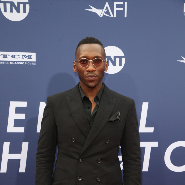 Mahershala Ali gives worrying update on Blade